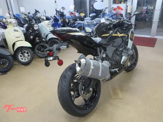 Kawasaki Ninja ZX-4R SE 2026 — миниатюра 5