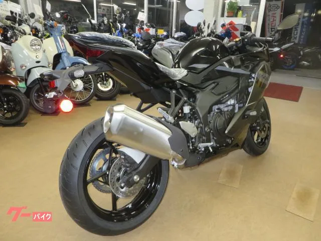 Kawasaki Ninja ZX-4R SE 2026 2026 — миниатюра 5