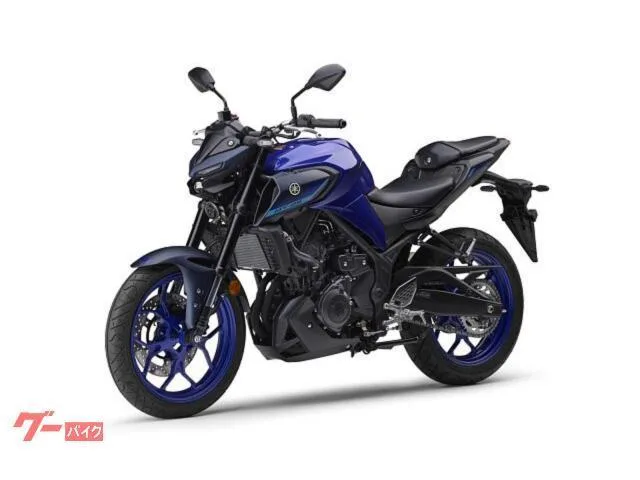 Yamaha MT-25ABS RG95J NEW 35 3 2025 — миниатюра 3