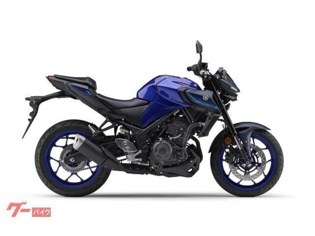 Yamaha MT-25ABS RG95J NEW 35 3 2025 — миниатюра 5