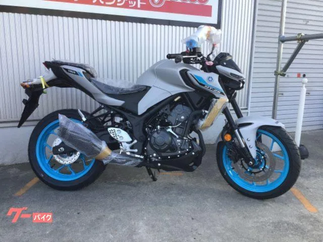 Yamaha MT-25 2025 RG95J Y-Connect USB 3 2025 — миниатюра 2