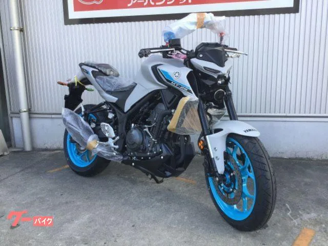 Yamaha MT-25 2025 RG95J Y-Connect USB 3 2025 — миниатюра 3