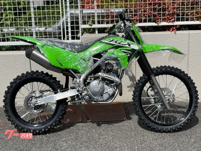 Kawasaki KLX230R S 2024MY - 2024 — фото 1, купить с доставкой в Москву