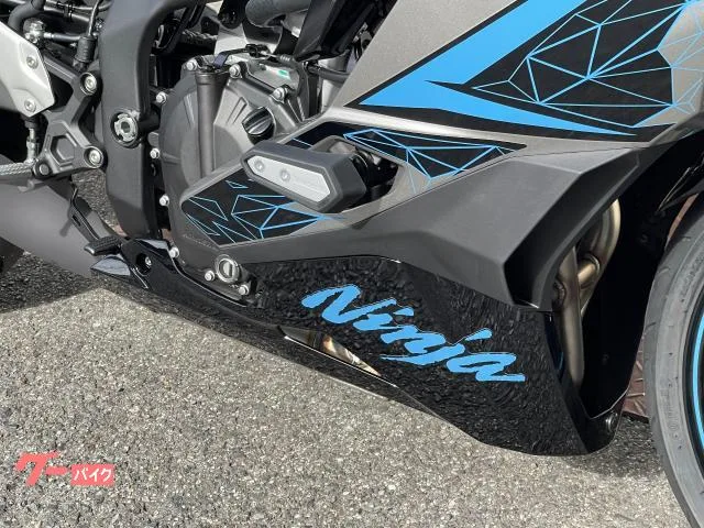 Kawasaki Ninja ZX-25R SE 2024MY 4.3TFT 2024 — миниатюра 3