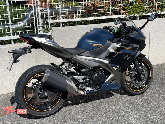 Kawasaki Ninja 250 2023 — миниатюра 3