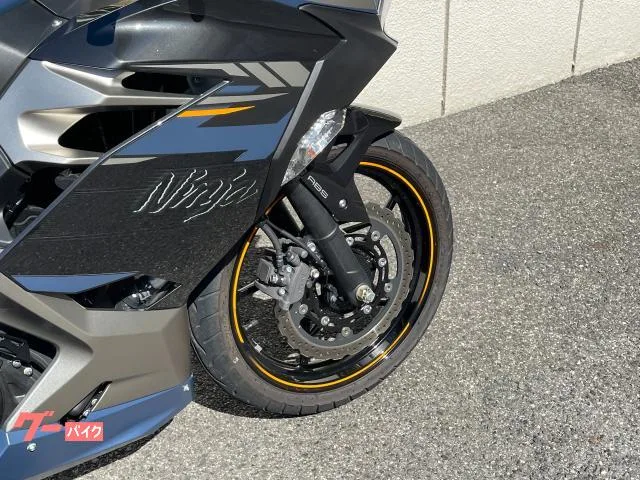Kawasaki Ninja 250 2023 — миниатюра 5
