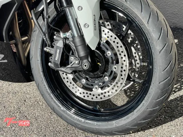 Kawasaki Ninja ZX-4R SE 2026MY - 2026 — миниатюра 5