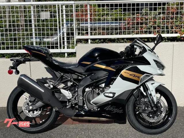 Kawasaki Ninja ZX-4R SE 2026MY - 2026 — фото 1, купить с доставкой в Москву