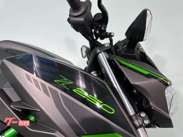Kawasaki Z250 1 2024 — миниатюра 2