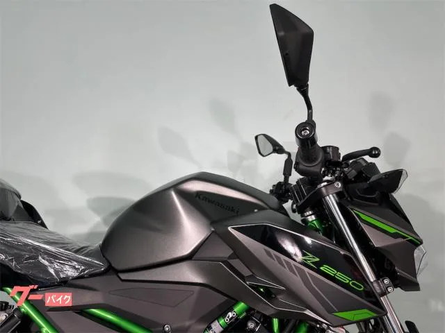 Kawasaki Z250 1 2024 — миниатюра 3