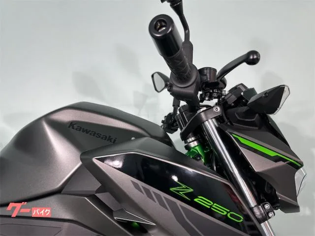 Kawasaki Z250 1 2024 — миниатюра 4