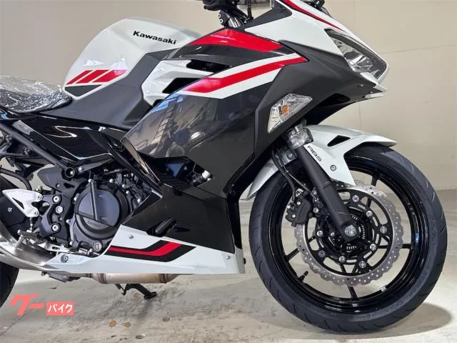 Kawasaki Ninja 400 2026 — миниатюра 2