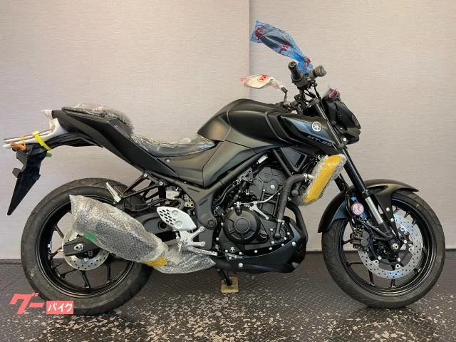 Yamaha MT-25 RG74J 8 2022 — миниатюра 3