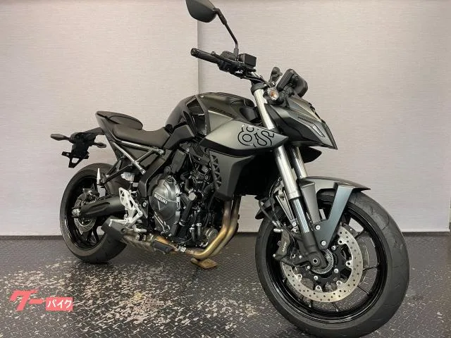 Suzuki GSX-8S 8BL-EM1AA 2023 5TFT 2023 — фото 1, купить с доставкой в Москву