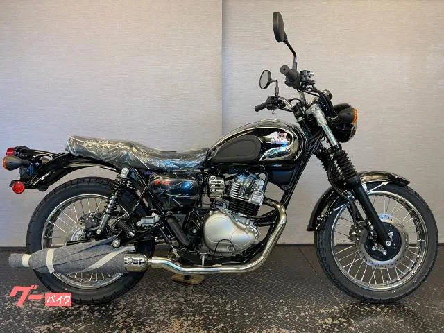 Kawasaki S1 8BK-BJ230A 2026 2025 — миниатюра 2