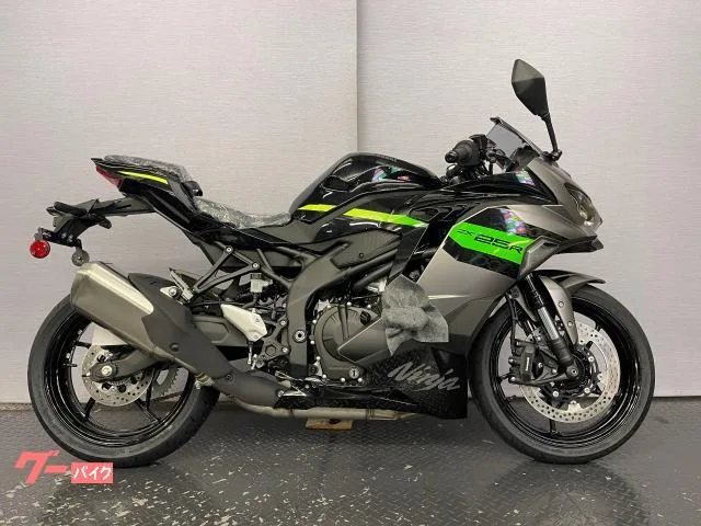 Kawasaki Ninja ZX-25R SE 8BK-ZX250H 2026 — миниатюра 3