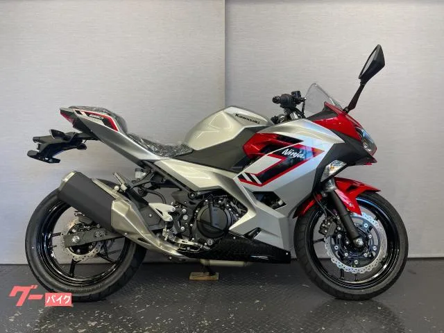 Kawasaki Ninja 250 8BK-EX250Y 2026 — миниатюра 3
