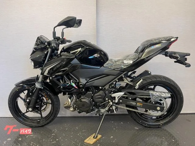 Kawasaki Z250 8BK-EX250Y 2026 2026 — миниатюра 4