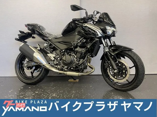 Kawasaki Z250 8BK-EX250Y 2026 2026 — фото 1, купить с доставкой в Москву