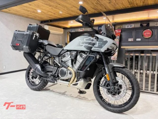 HARLEY-DAVIDSON 1250 RA1250S ARH TFT 2024 — фото 1, купить с доставкой в Москву