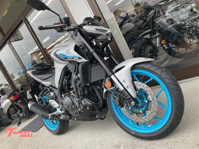 Yamaha MT-25 2025 — миниатюра 3