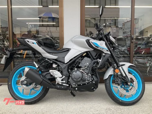 Yamaha MT-25 2025 — фото 1, купить с доставкой в Москву