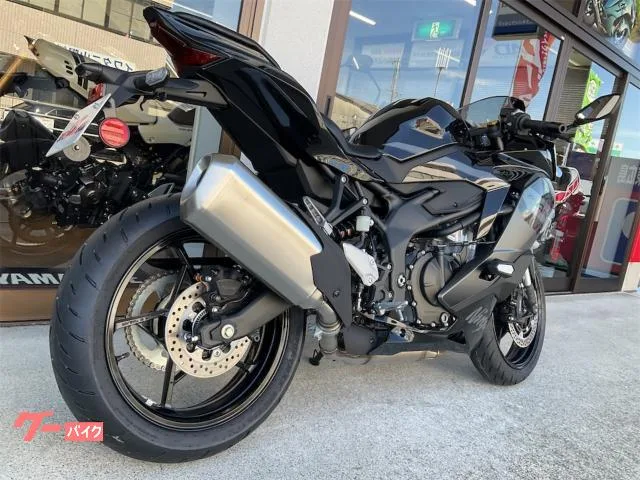 Kawasaki Ninja ZX-4R SE 2026 — миниатюра 2