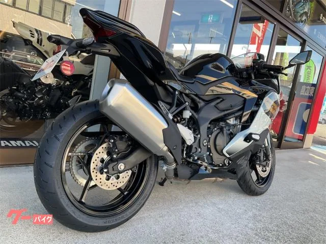 Kawasaki Ninja ZX-4R SE 2026 — миниатюра 2