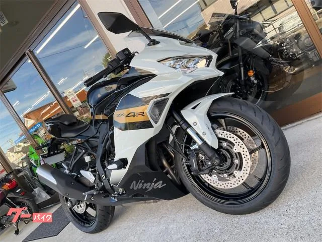 Kawasaki Ninja ZX-4R SE 2026 — миниатюра 3
