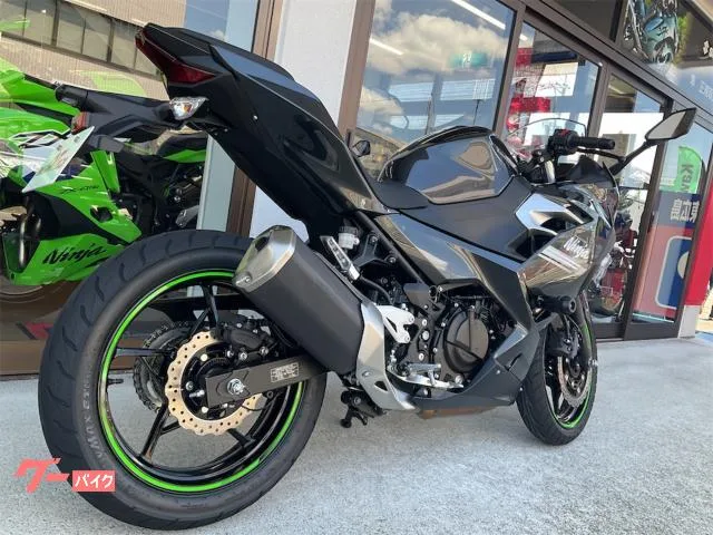 Kawasaki Ninja 250 2022 — миниатюра 2