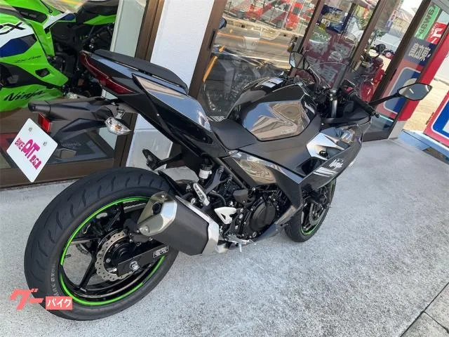 Kawasaki Ninja 250 2022 — миниатюра 4