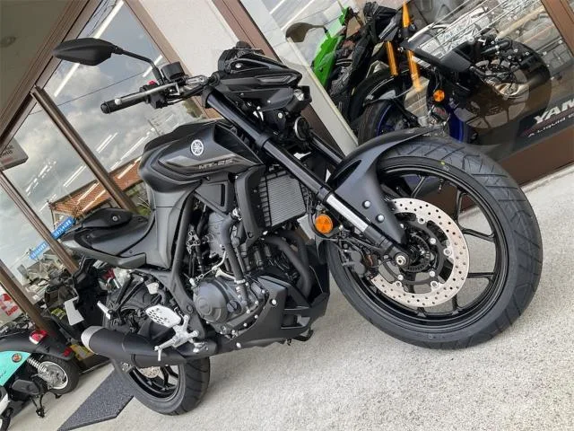 Yamaha MT-25 2025 — миниатюра 3