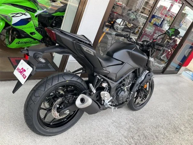 Yamaha MT-25 2025 — миниатюра 4