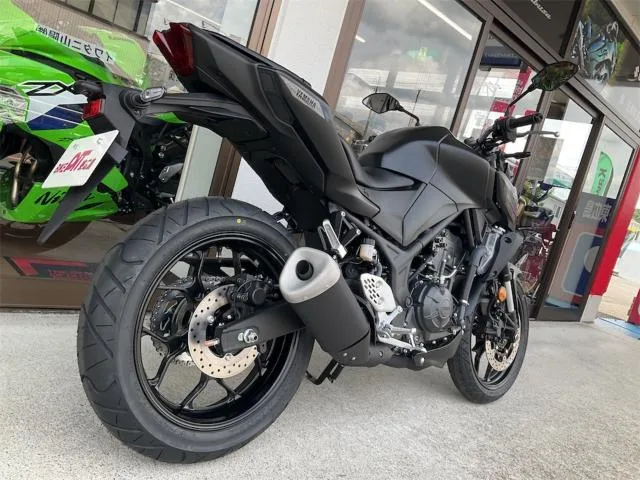 Yamaha MT-25 2025 — миниатюра 5