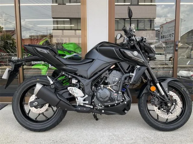 Yamaha MT-25 2025 — фото 1, купить с доставкой в Москву