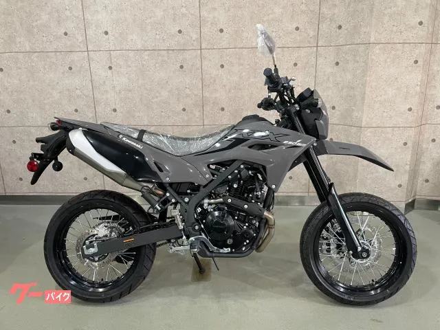 Kawasaki KLX230SM 25 4 LED 2025 — фото 1, купить с доставкой в Москву