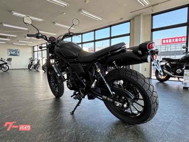 Honda CL250 E-ClutchNew ABS 2025 — миниатюра 2