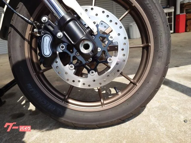 HARLEY-DAVIDSON FXLRS S 2023 — миниатюра 2
