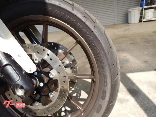 HARLEY-DAVIDSON FXLRS S 2023 — миниатюра 4