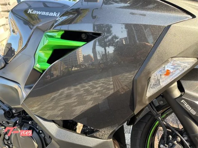 Kawasaki Ninja 250 2023 2023 — миниатюра 2