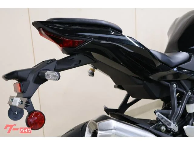 Kawasaki Ninja ZX-4R SE 2026 — миниатюра 4