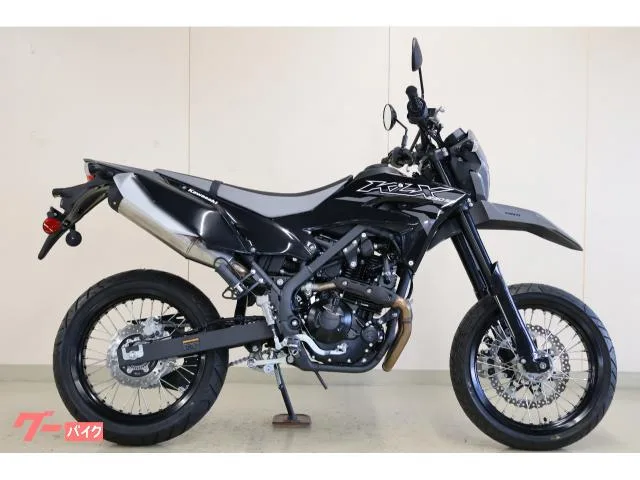 Kawasaki KLX230SMj 2026 — фото 1, купить с доставкой в Москву