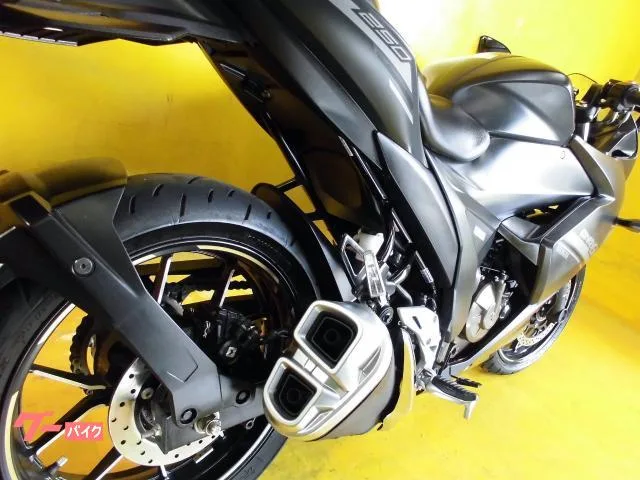 Suzuki GIXXER SF 250 2023 — миниатюра 4