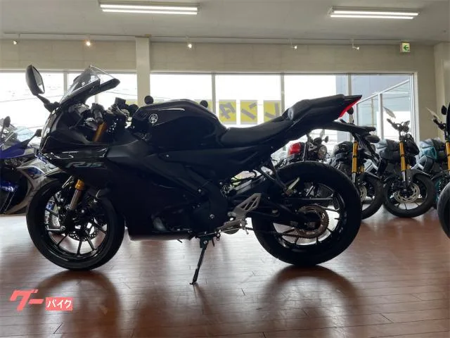 Yamaha YZF-R15 2024 2024 — миниатюра 5
