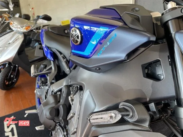 Yamaha MT-09 Y-AMT C 2024 — миниатюра 2