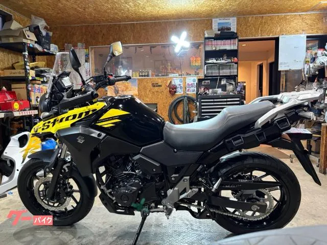 Suzuki V- 250ETCLED 2022 — миниатюра 4
