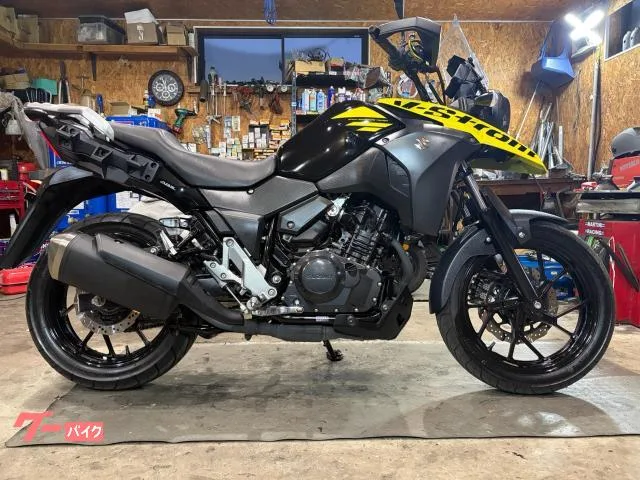 Suzuki V- 250ETCLED 2022 — фото 1, купить с доставкой в Москву