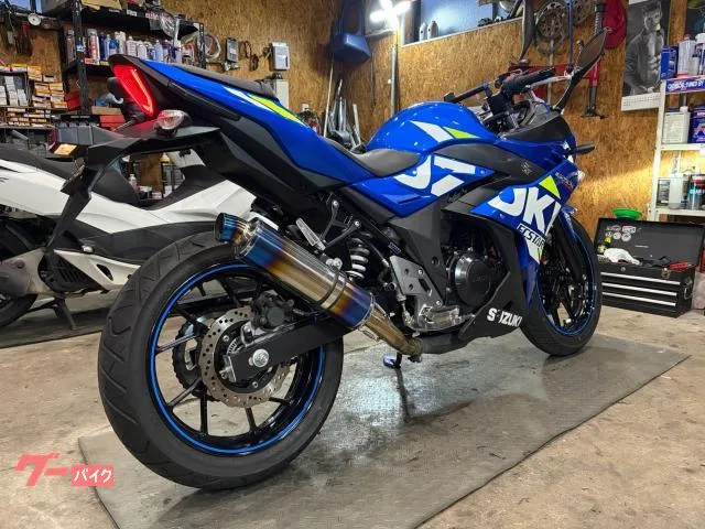 Suzuki GSX250R USB2 2022 — миниатюра 3