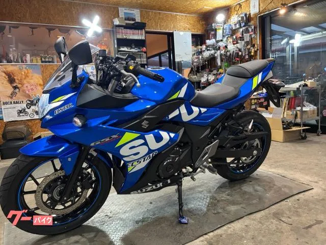 Suzuki GSX250R USB2 2022 — миниатюра 5