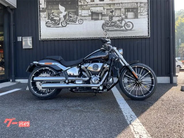 HARLEY-DAVIDSON FXBR 2025 — фото 1, купить с доставкой в Москву